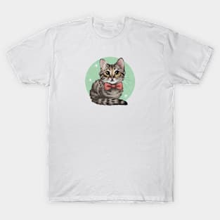 Coquette Tabby Cat T-Shirt